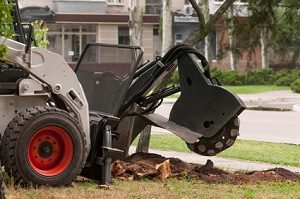tree service fredericksburg va